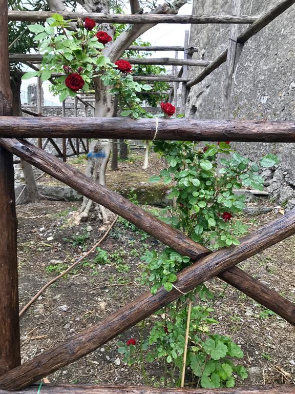 Le Due Porte Майори Экстерьер фото